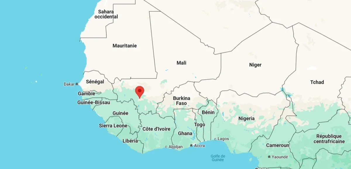manifestation populaire à Bamako contre la menace de dissolution des partis politiques