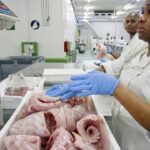 Gabon : les raisons de la rupture avec l&rsquo;accord de pêche européen