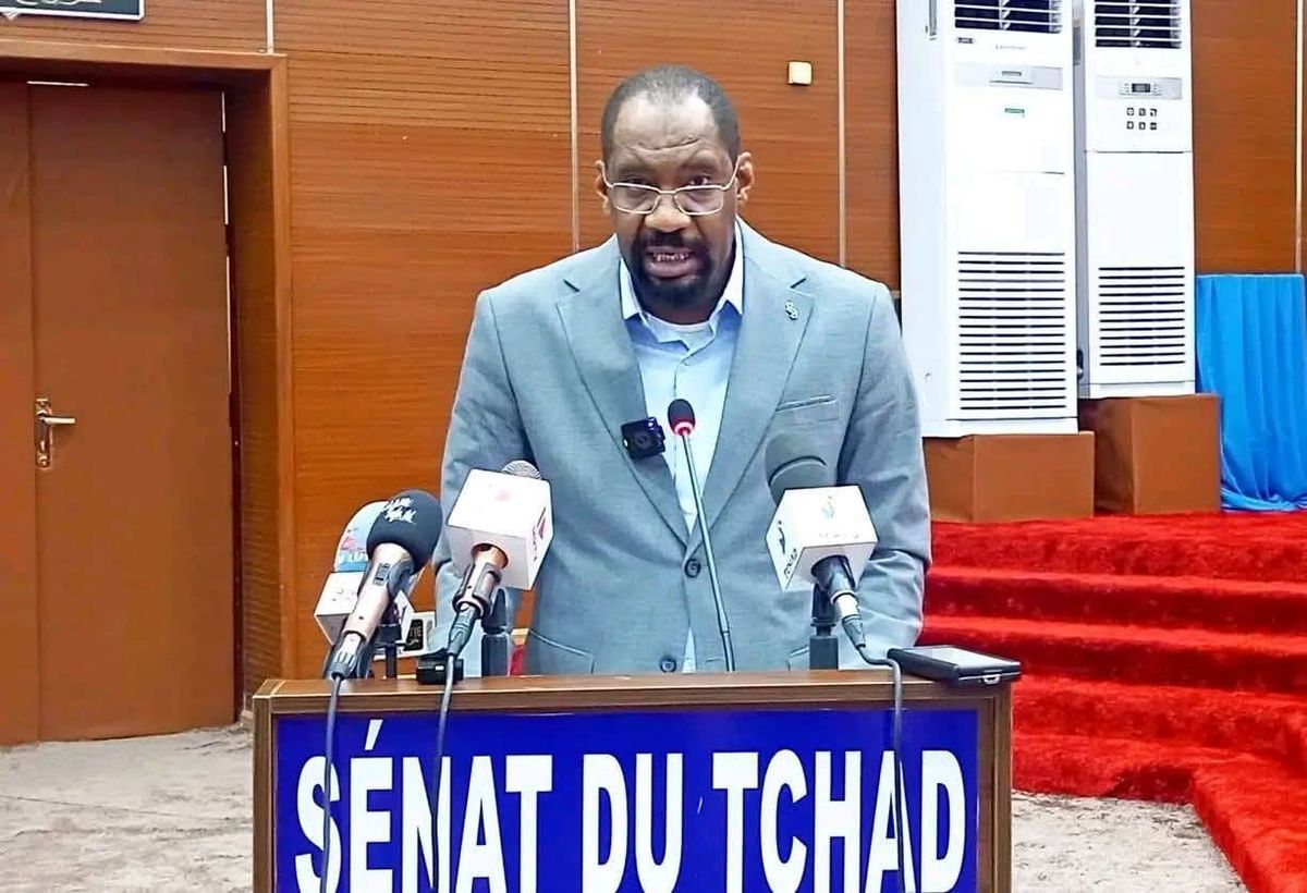 Tchad : mobilisation contre les conflits intercommunautaires