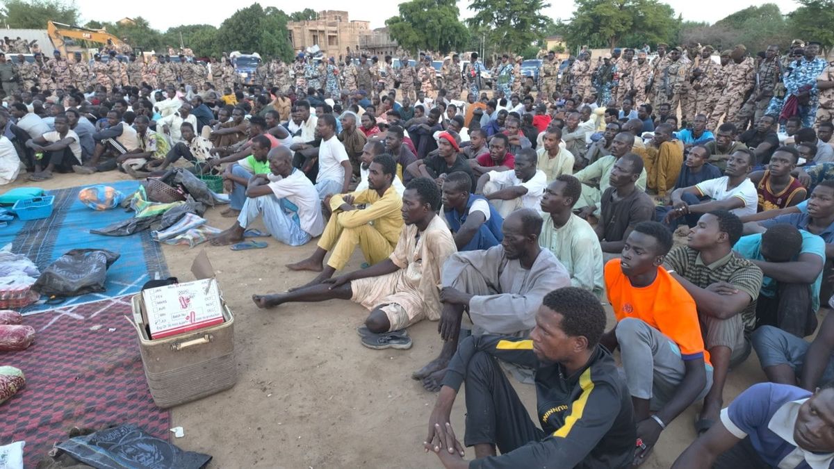 Opération anti-criminalité à N’Djamena : 252 arrestations et saisies majeures