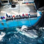 Pêche au Gabon : ce que la renégociation avec l&rsquo;Union européenne va changer pour les citoyens et l&rsquo;économie